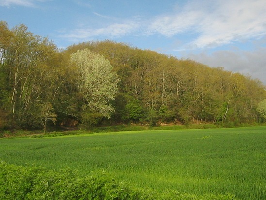 Valle del Chiecina